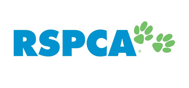 Logo-Image24